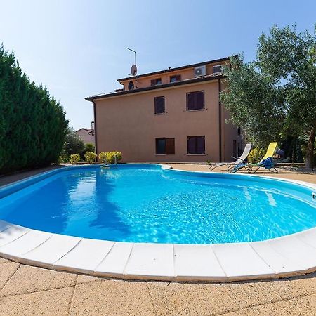 Apartments With A Swimming Pool Novigrad - 7078 Buitenkant foto